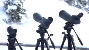 Spotting scopes sammen